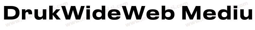 DrukWideWeb MediumIt字体转换